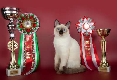 �������� ����� '������� ���-�����' 30 ������-1 ������� 2013� 151_wcf_young2_IMG_4485 copy.jpg